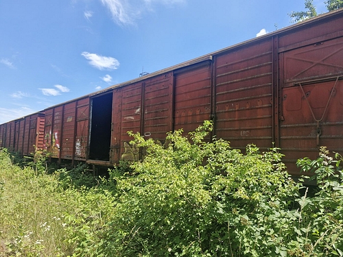 06