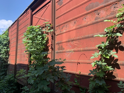 04