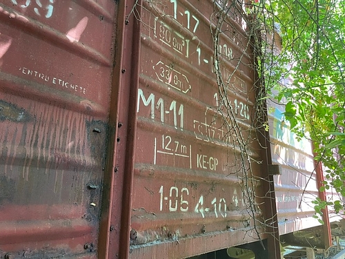 foto2