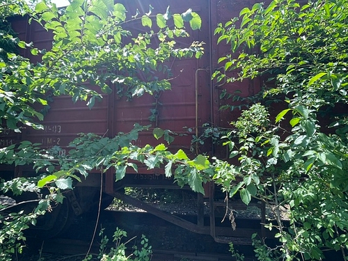 foto2