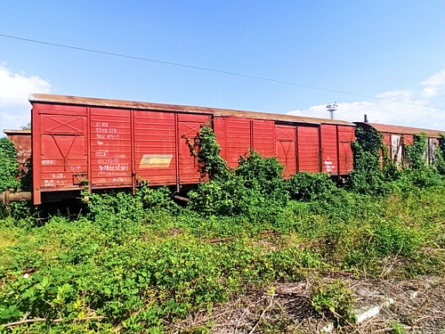 05