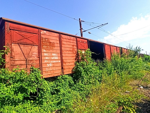 03