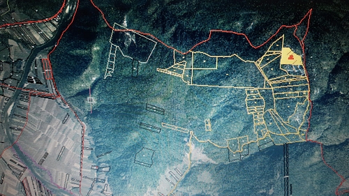 poza5