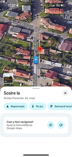 Poza 6
