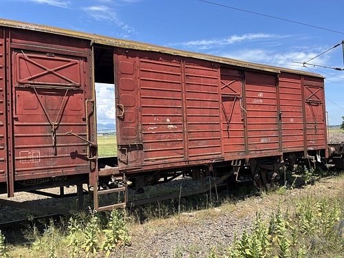 07