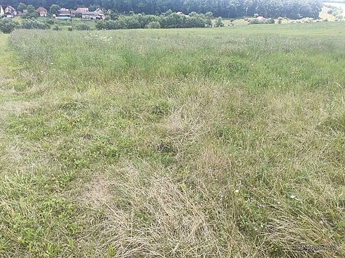 foto3