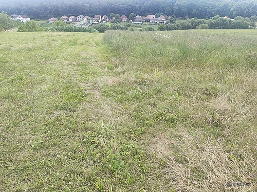 foto2