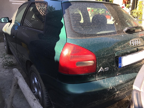 poza 6