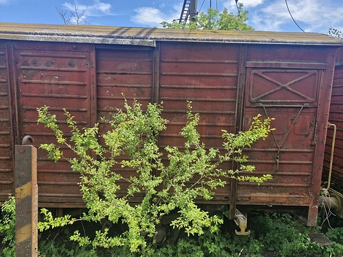 05