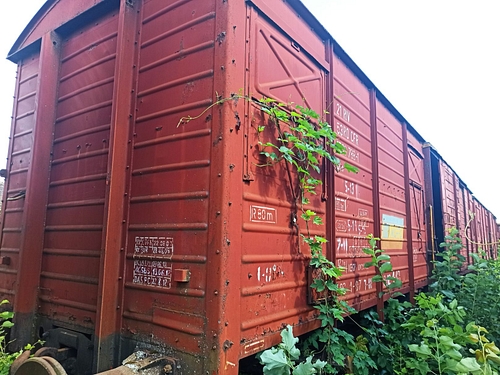 05
