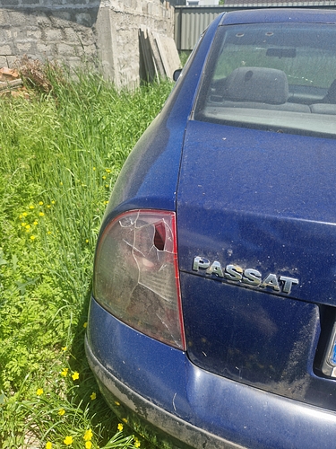 poza 8 