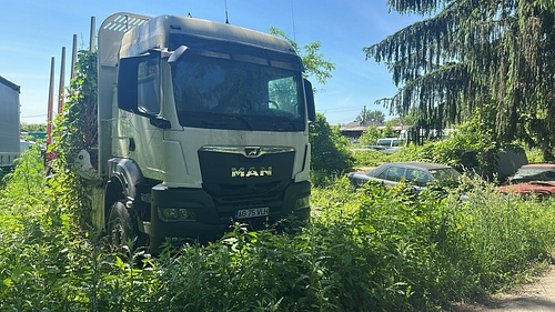 poza 11