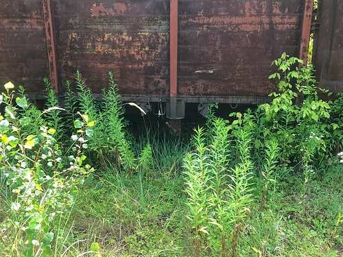 07