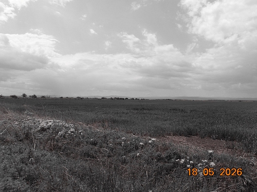 POZA 4