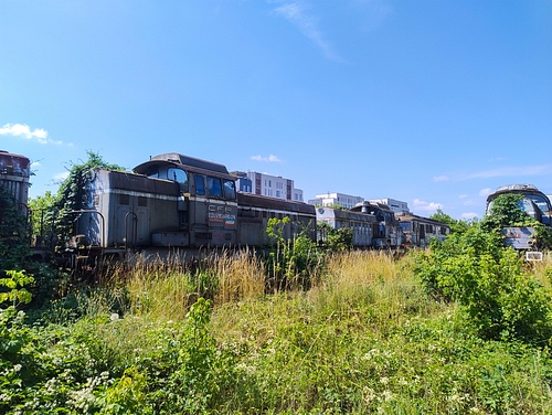 Poza nr.3