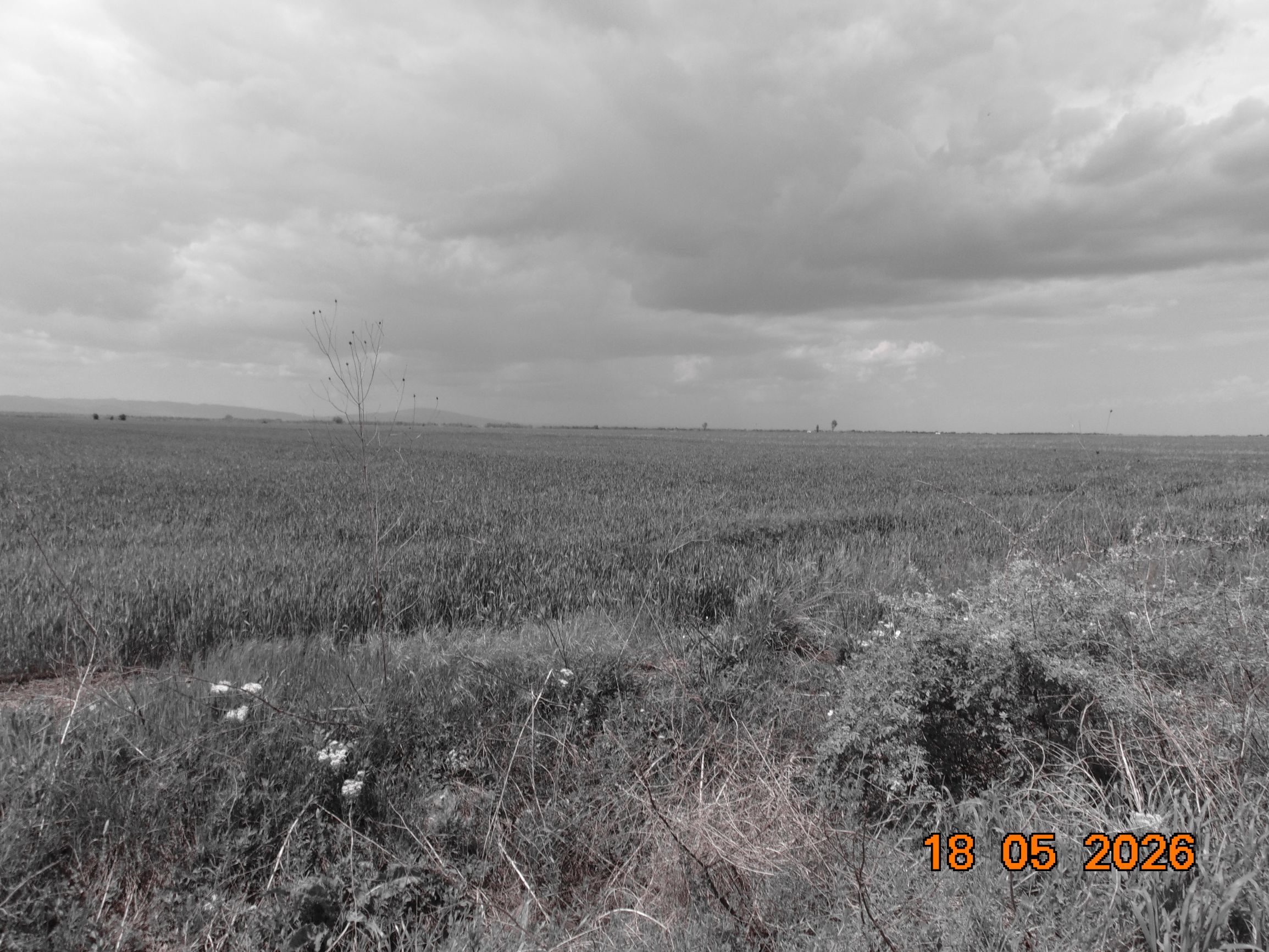 Thumbnail - FILM