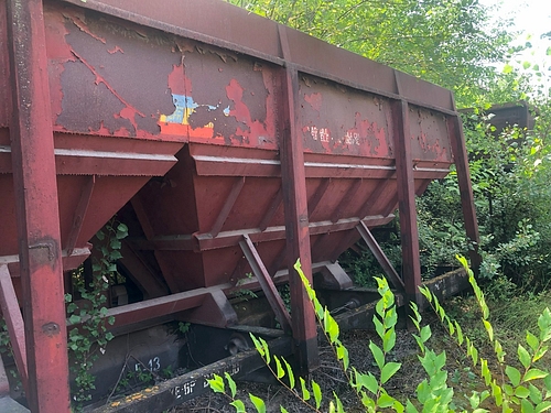 06