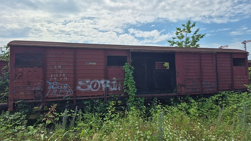 poza 2