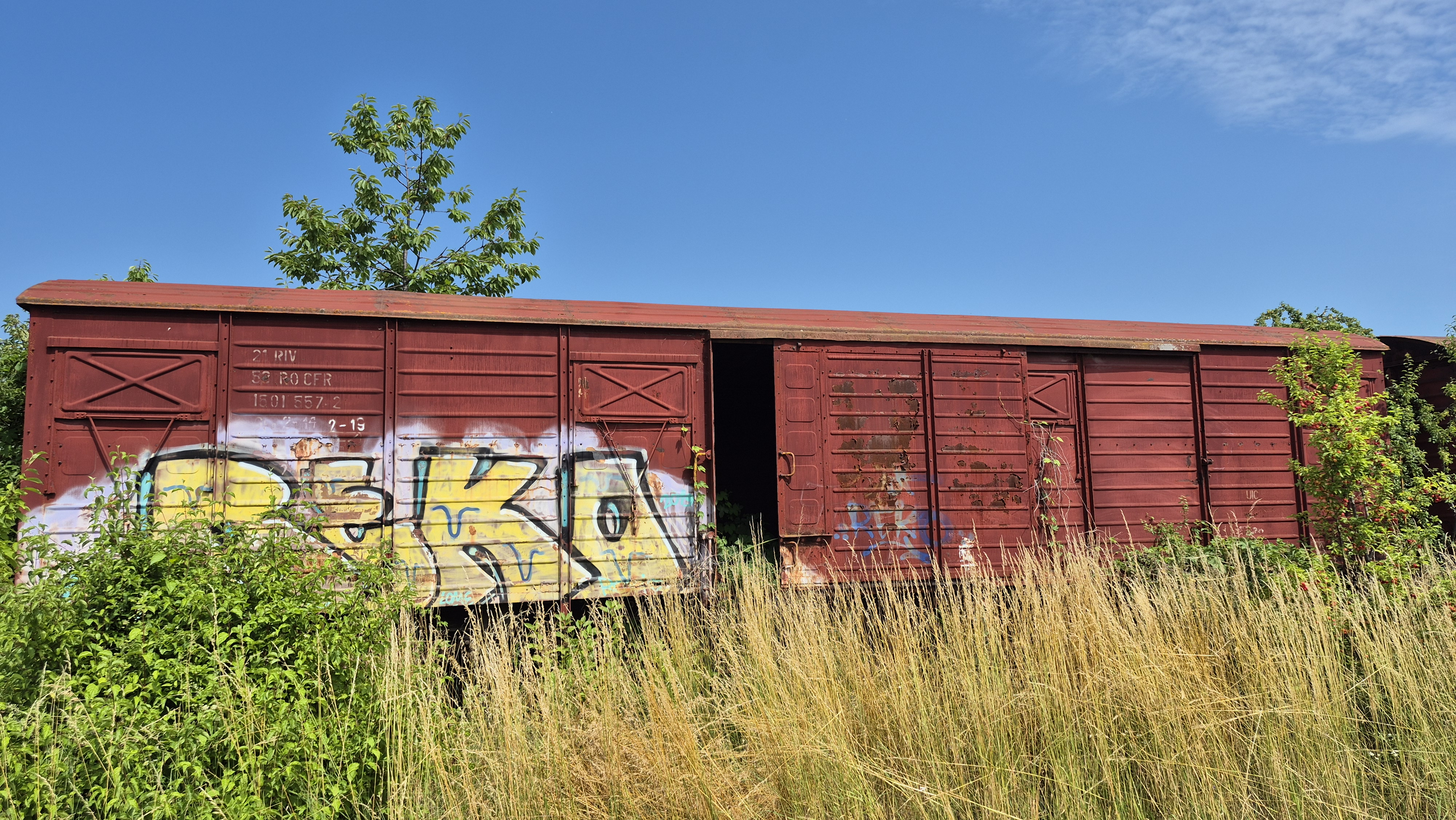 Thumbnail - film 1, poza 3