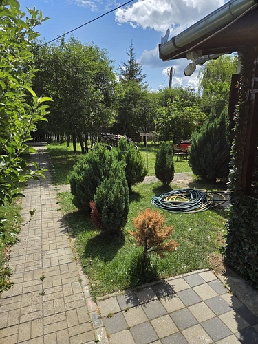 Poza 7