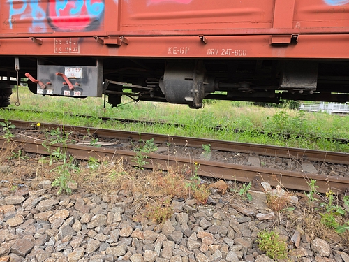 Laterat
