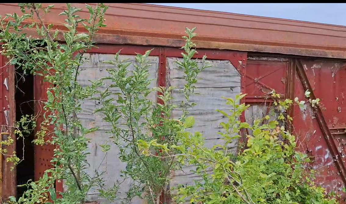 Thumbnail - video