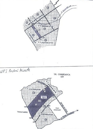 Poza 10