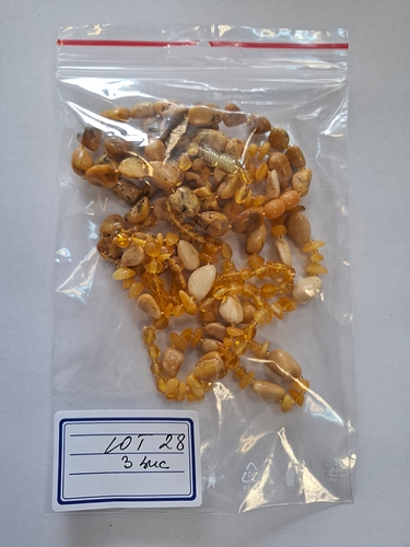 Poza 5