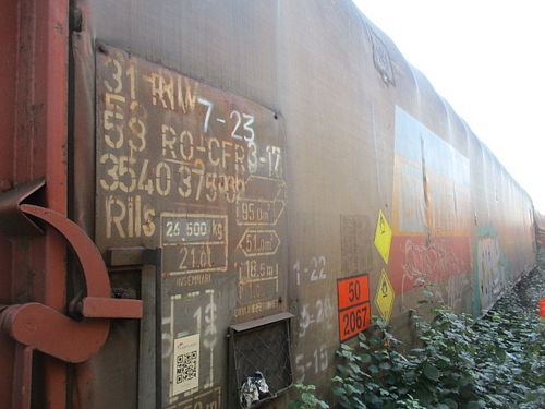 poza 2