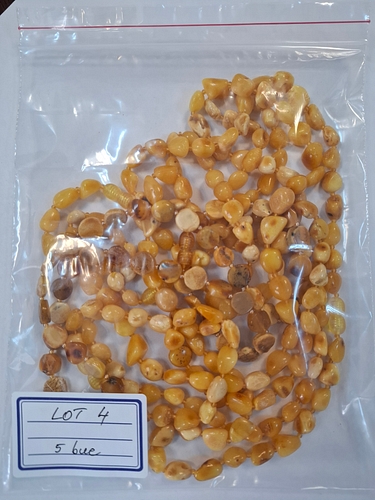 Poza 5