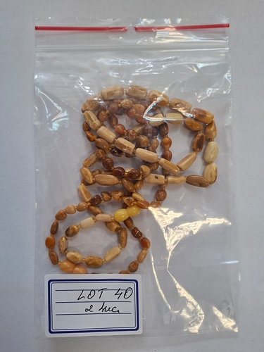 Poza 5