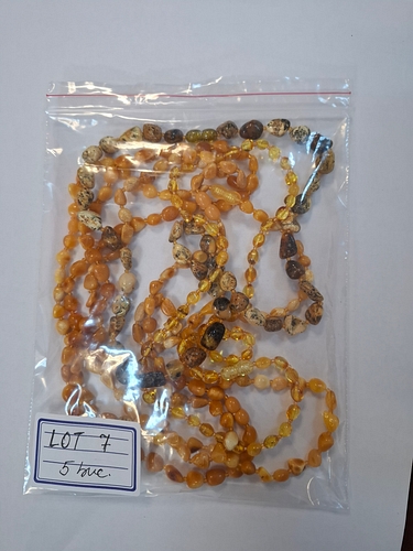 Poza 5