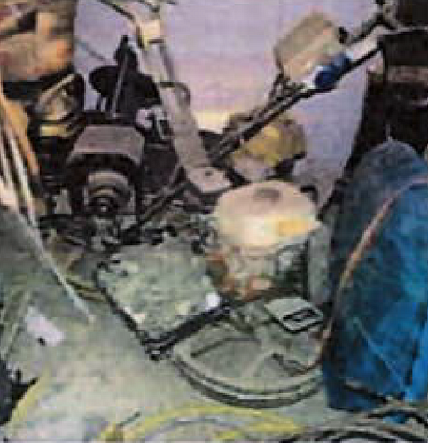 poza 1