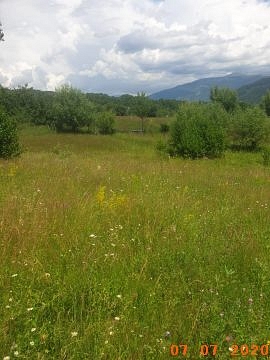 Faneata - extrailan CF 81280 UAT Nucsoara, Judetul Arges