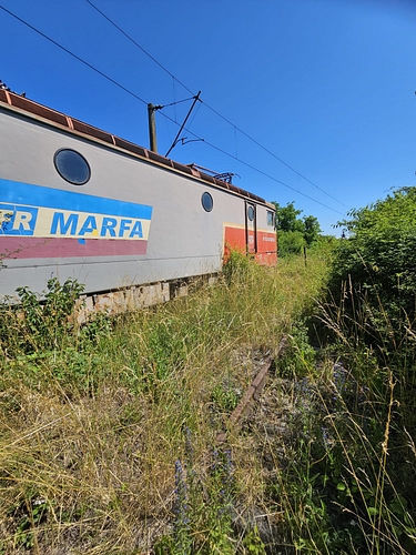 poza5