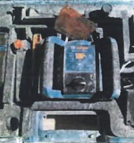 poza 1