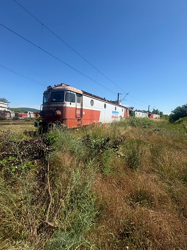 poza5