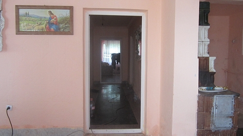poza 9