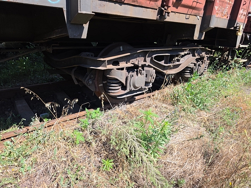 Tren rulare 6