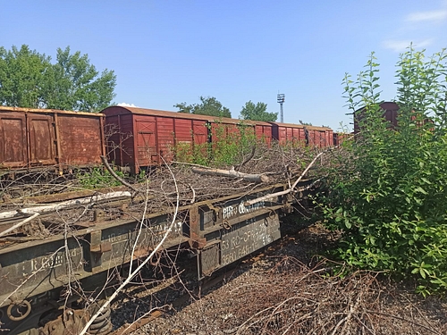 P2