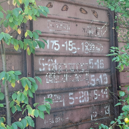 Poza nr 3