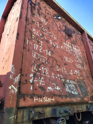 poza  5