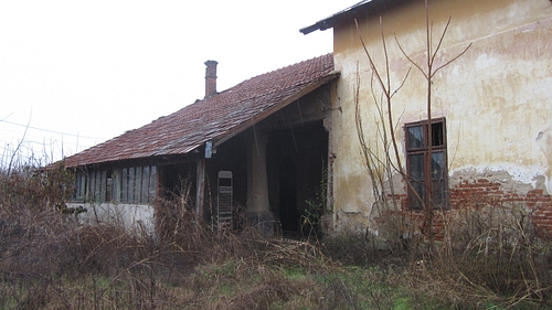 poza 8