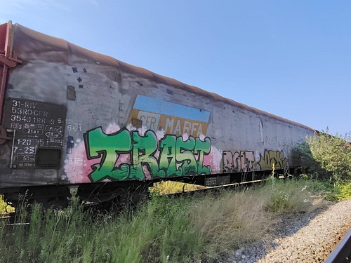 poza 5