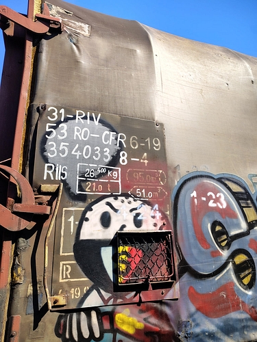 poza 4