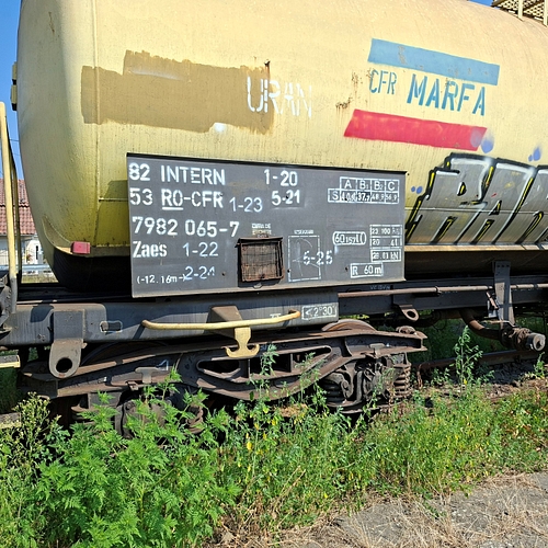 Poza nr. 2