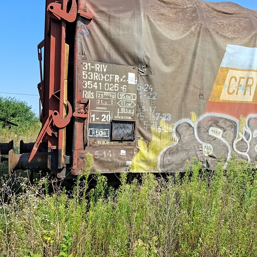 Poza nr. 2