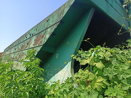 04