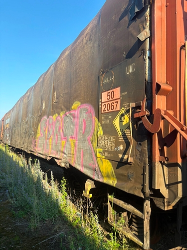 poza 5