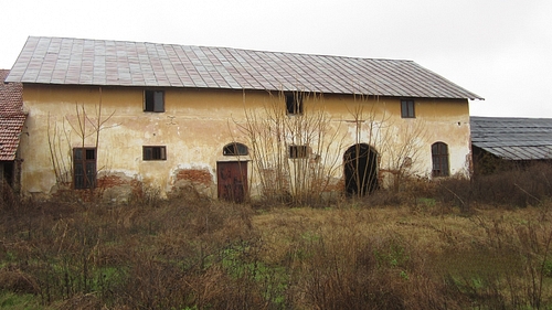 poza 7